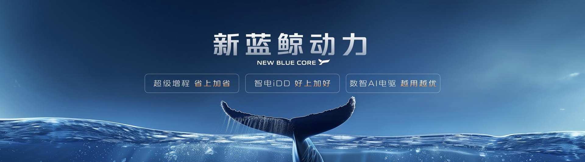 蓝鲸信息科技